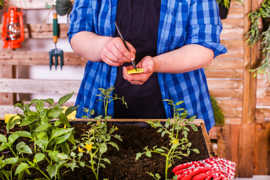 Young man writing name of seedlings on plant labels in urban garden