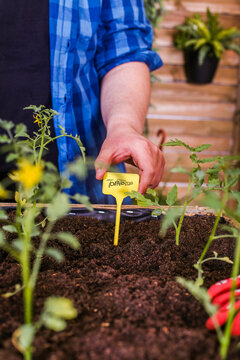 Young man putting plant labels in his urban garden