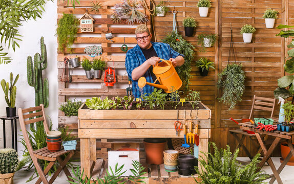 Young man watering seedlings in his urban garden on terrace