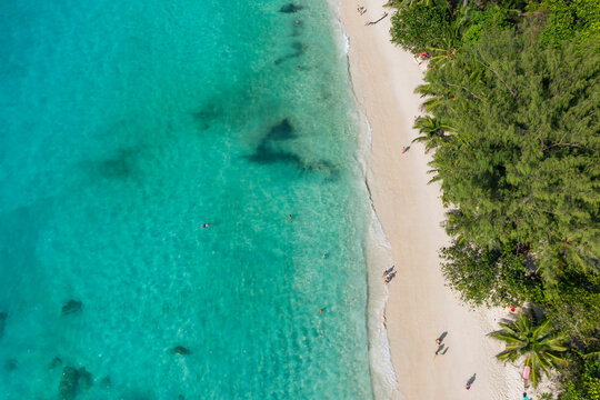Seychelles, Praslin Island, Aerial view of Anse Lazio sandy beach with crystal clear turquoise ocean