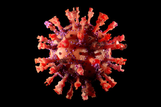 Three dimensional render of single COVID-19 cell