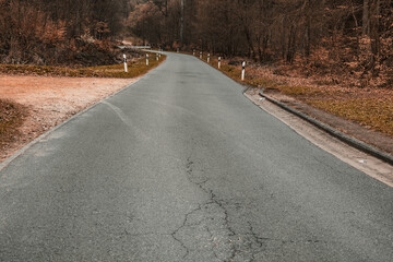 road in autumn