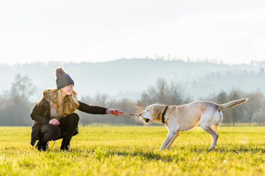 Playful Dog Pulling Rope From Woman's Hand In Nature