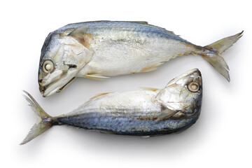 thai steamed short mackerel islated on white background