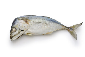 thai steamed short mackerel islated on white background