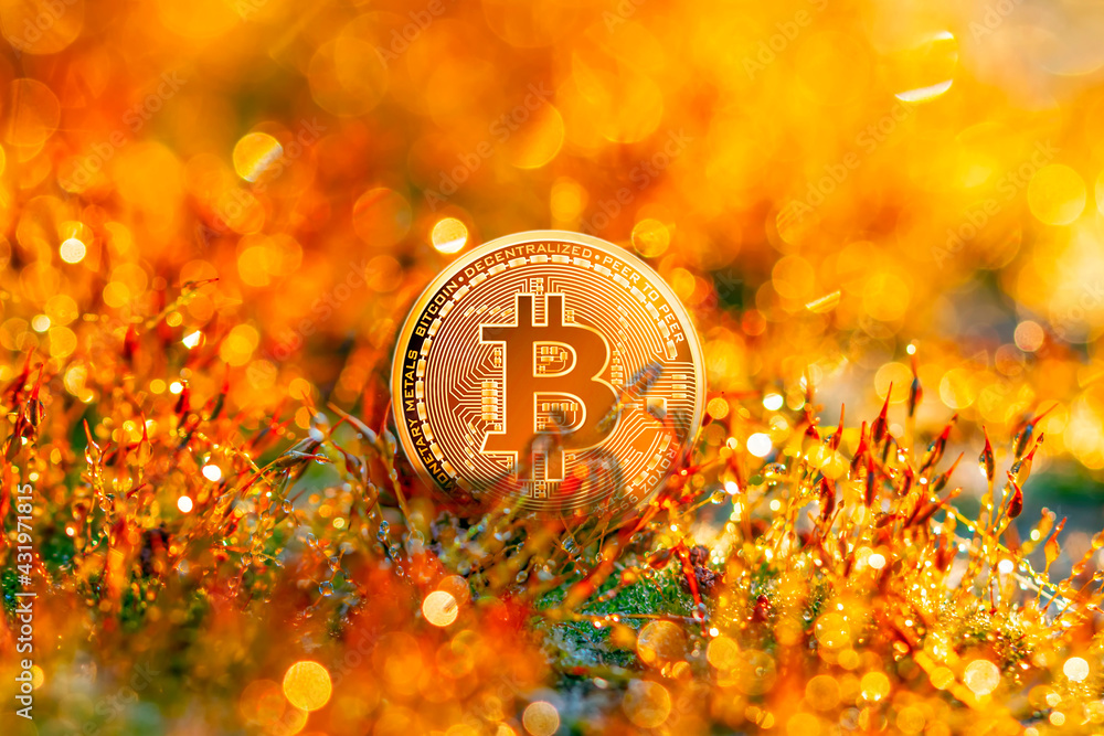 Poster bitcoins and new virtual money concept. gold bitcoins with candle stick graph chart and digital back