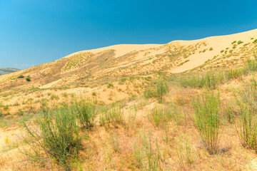Sand dune dune Sarikum in Dagestan, Russia