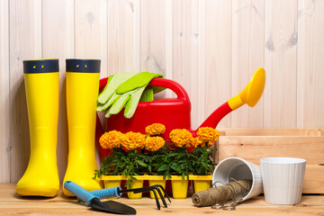 spring concept, gardening tools for gardening, rubber boots and seedlings, watering can, seasonal garden work.