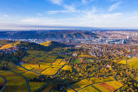 Germany, Baden Wurttemberg, Stuttgart, Aerial view of vineyards in autumn