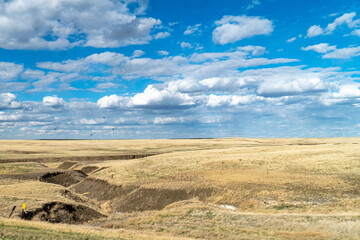 Wheat Fields of South Dakota