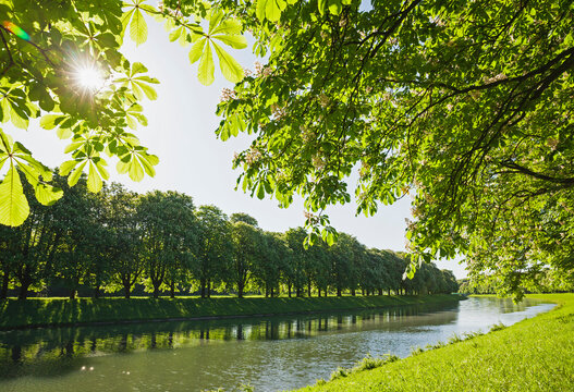 Germany, North Rhine-Westphalia, Cologne, Sun shining over treelined Decksteiner Weiher pond in spring