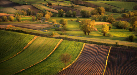 fields © Sieku Photo