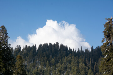 Amazing scenery of clouds and lush green trees Mukeshpuri Pakistan