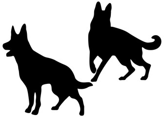 Sheepdogs are large in the set. Vector image.;