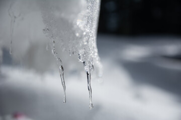 Obraz na płótnie Canvas closeup of water dripping from snow Mukeshpuri Pakistan