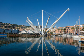 Italy, Liguria, Genoa, Crane in Marina di Porto Antico