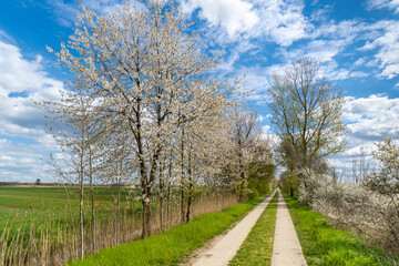 Obraz premium Hamburg, Germany. Hiking and bicycle path in the area of the 