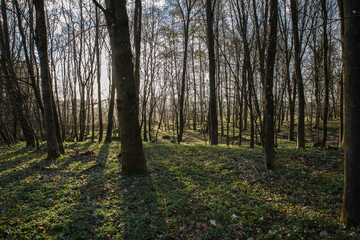 Scanian landscapes around Skåne Malmö Sweden in the spring