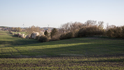 Scanian landscapes around Sk&aring;ne Malm&ouml; Sweden in the spring