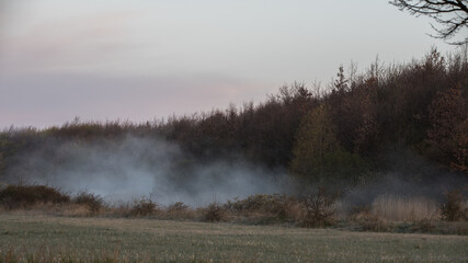 Obraz na płótnie Canvas Morning image mist in Skåne landscape