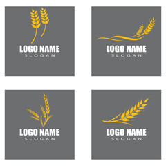 Agriculture wheat vector icon design