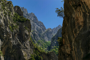 Inside a deep valley with spectacular vertical rocks. Photograph taken in the Picos de Europa, Asturias, Spain. 