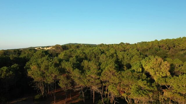 La campagne aux abords de la ville de Arkoudi au bord de la mer Ionienne vers Patras, dans le P&eacute;loponn&egrave;se, en Gr&egrave;ce, en &eacute;t&eacute;.