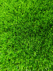 Fototapeta premium photography green abstract background. artificial turf. grass.