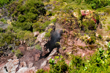 Selective focus on crack with smoke coming out and colorful vegetation in a geothermal area in Furnas de Enxofre, Terceira - Azores PORTUGAL