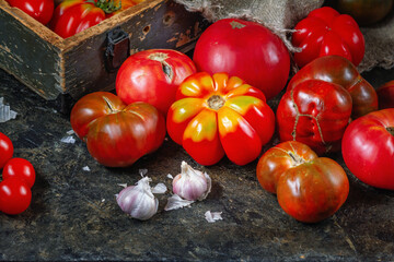 Harvest organic assorted tomatoes - red, yellow, orange, brown. Variety fresh colorful tomatoes of different varieties. Retro style composition