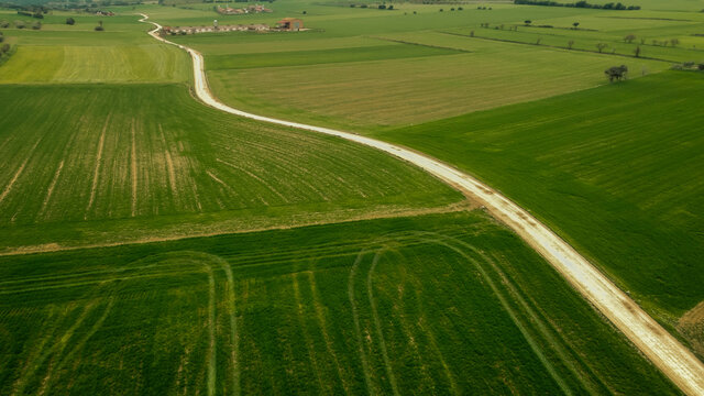 Dirt road amidst green fields seen from above