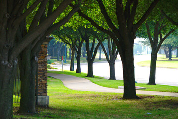 A sidewalk tree lined path in the downtown area of Frisco, TX Texas in DFW. - obrazy, fototapety, plakaty
