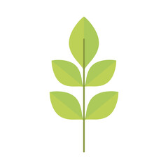 foliage nature leaves