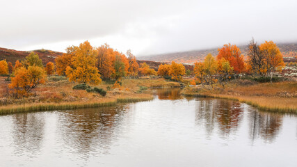 Fall in Norway