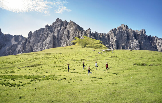 Man and women practicing yoga in tree pose on meadow against sky