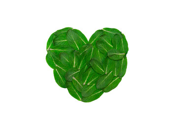 Green mint leaves are laid out in the shape of a heart on a white isolated background. Nature love concept. Eco concept, protection of nature and ecology.