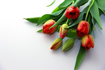 a bouquet of red tulips lies on a light table