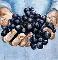 Mani che reggono un grappolo d'uva