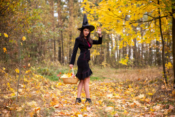 young attractive witch walks in the autumn orange forest.helloween concept.