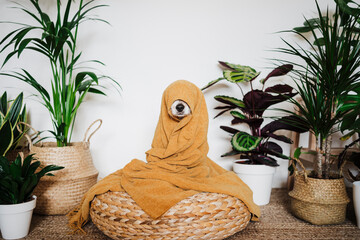 Playful dog wrapped in blanket sitting on ottoman stool by houseplant at home
