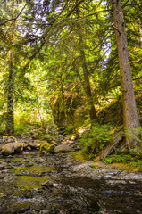  Yosemite-  National Park