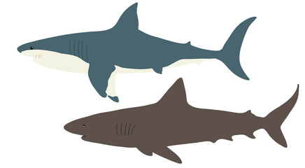 Two sharks. Simple vector illustration.
