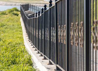 Black wrought iron fence railings and grasses
