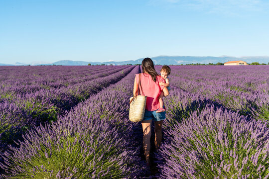 Mother carrying baby daughter in vast lavender field during summer