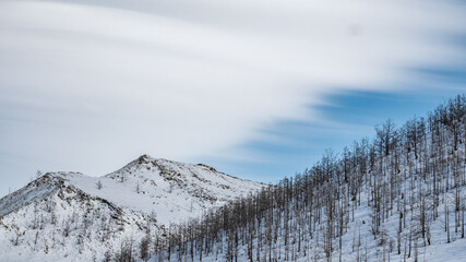 Fototapeta na wymiar Wooded hills in the Baikal steppe