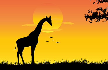 A giraffe standing Against a Sunset illustration, African nature with a wild Giraffe. Black silhouette of a Giraffe, wild animal jungle background 