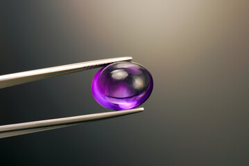 Natural brazilian amethyst cabochon gemstone holded in tweezers. Purple violet color, transparent,...