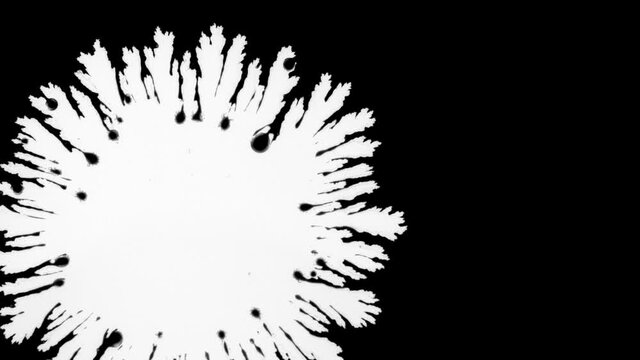 Crystalline white spot spreads over black background. Freezing effect or crystal germination. Template for motion design or advertising