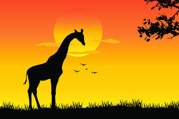 A giraffe standing Against a Sunset Vector illustration, African nature with a wild Giraffe. Black silhouette of a Giraffe,wild animal jungle background 