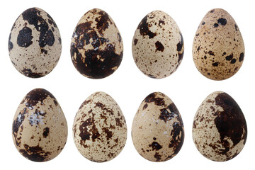 quail eggs, isolated on a white background with a clipping path.